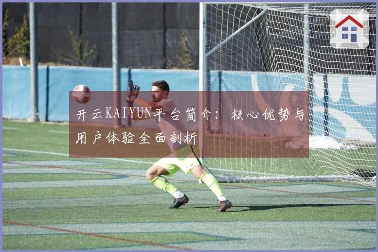 开云KAIYUN平台简介：核心优势与用户体验全面剖析